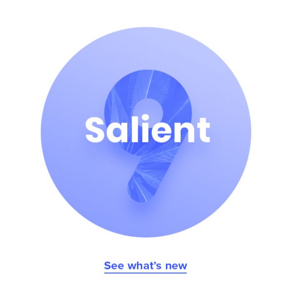salient-9-wordpress-theme-review