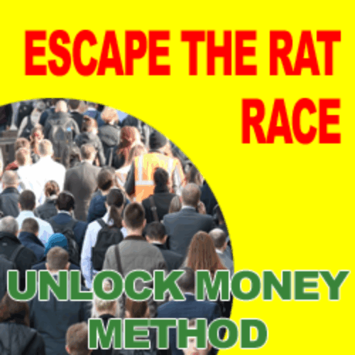Auto Chat Profits and Website Chatbot