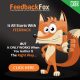 Feedback Fox Review