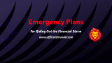Emergency Plans for Riding Out the Financial Storm