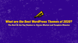What are the Best WordPress Themes of 2020